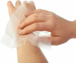 Ben's Insect Repellent Wipes - 30 Percent DEET - Package of 12 -Cheap Health & Safety Store 585b39f0 8f28 45fd 8cff 704c356cd6d2