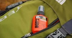Ben's 100 Max Formula Insect Repellent - 95 Percent DEET - 1.25 fl. oz. -Cheap Health & Safety Store db96f3cf 53c5 4037 a3da 1c419ffd9dd5
