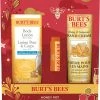 Burt's Bees Honey Pot Gift Set